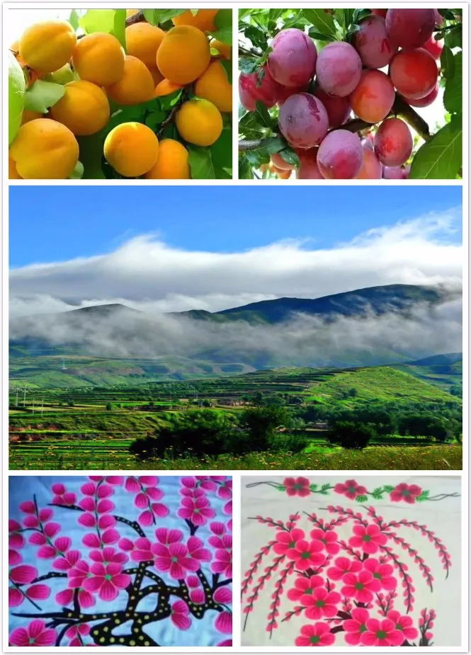 640 (3)_看图王.web.jpg 640 (3)_看图王.web.jpg