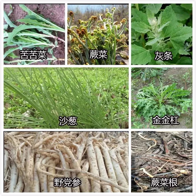 640 (6)_看图王.web.jpg 640 (6)_看图王.web.jpg